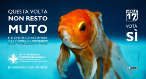 enpa-referendum-17-aprile-banner-non_resto_muto-72dpi-1600x872dpi-jpg